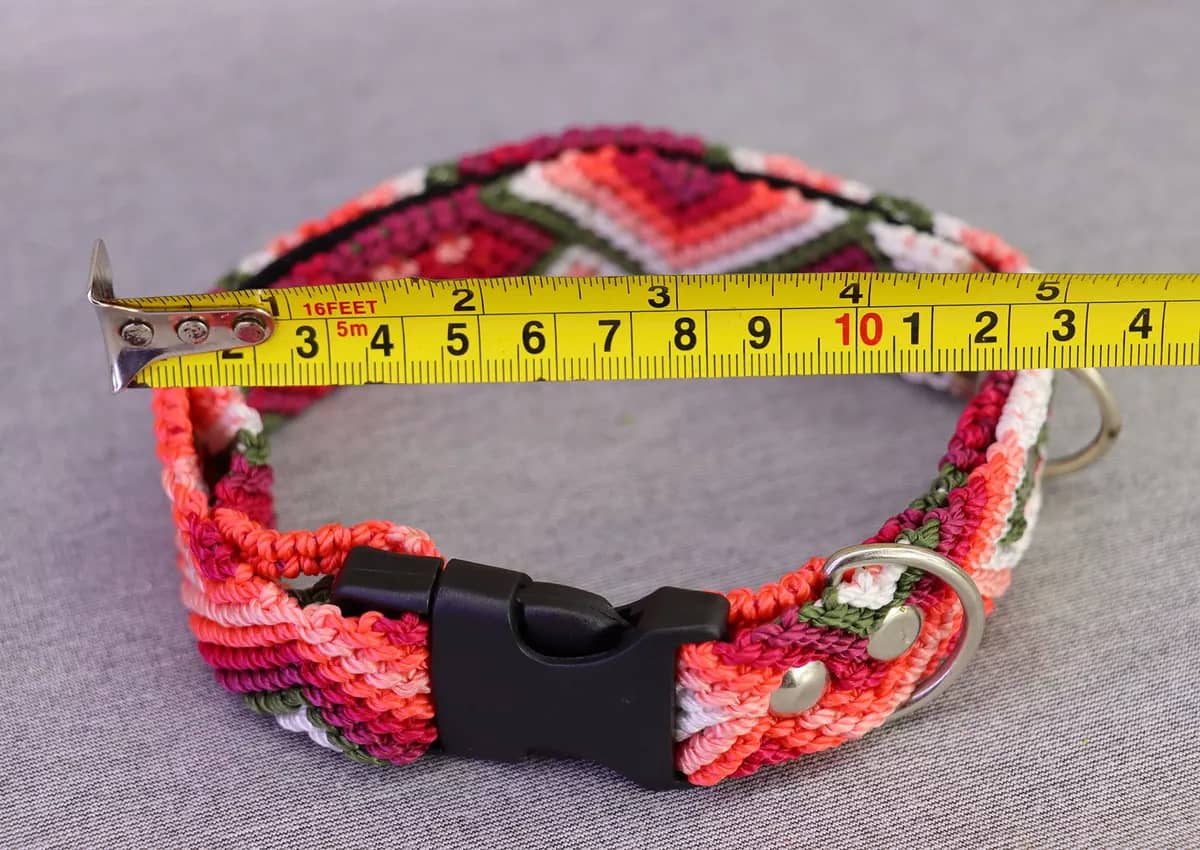 Collar Para Perro Tamaño Chico Collar Bordado Artesanal - Image 3