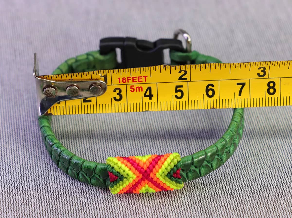 Collar De Piel Para Perros Y Gatos Tamaño Extra Chico - Image 3