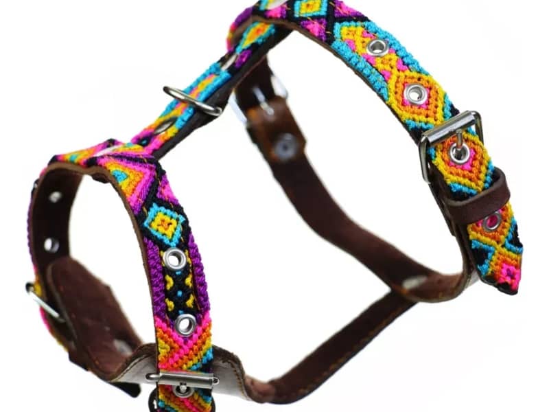 Pechera Para Perro Extra Chico Pechera Bordado Artesanal